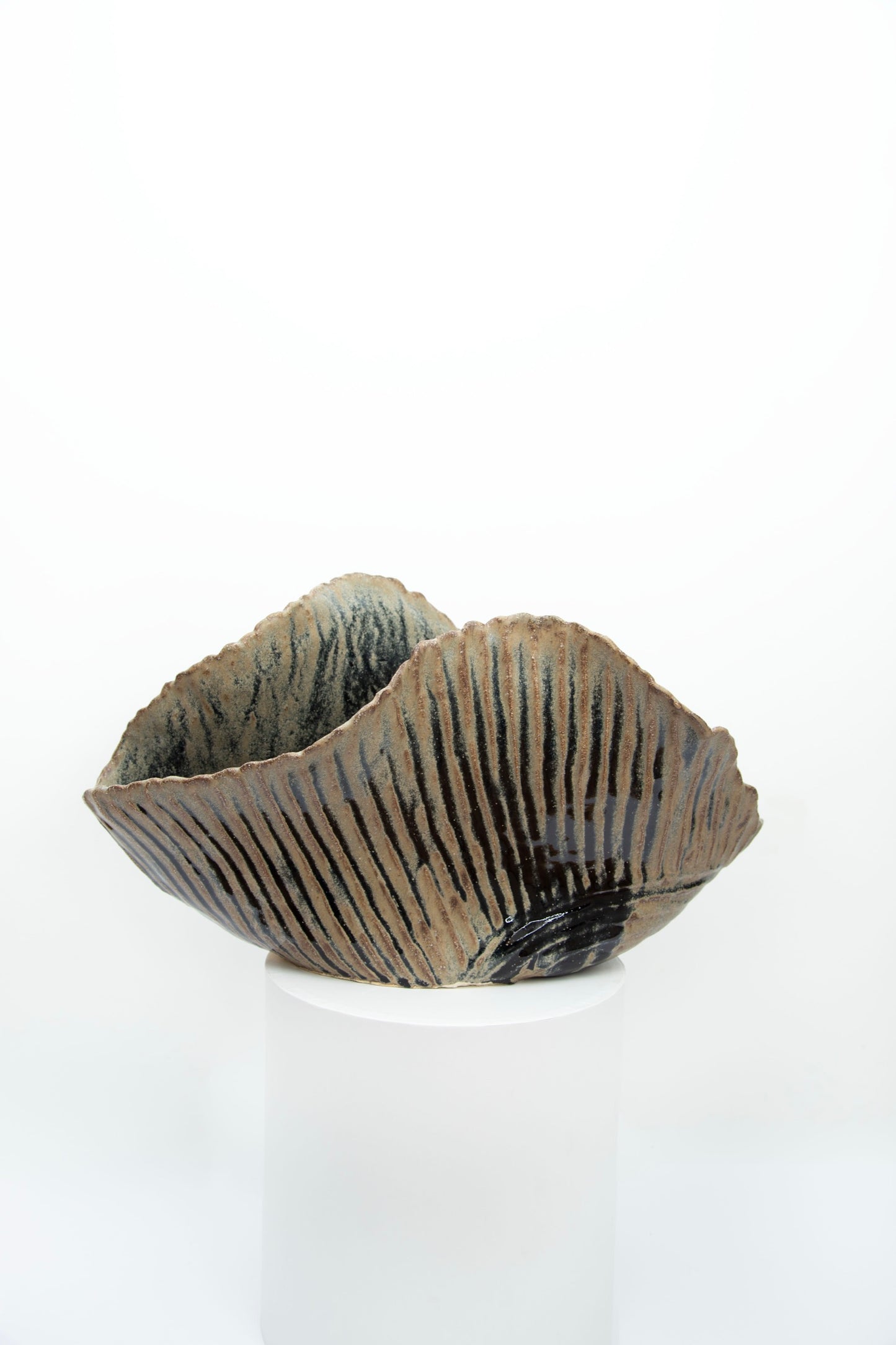 A cloud, a star, a meteor