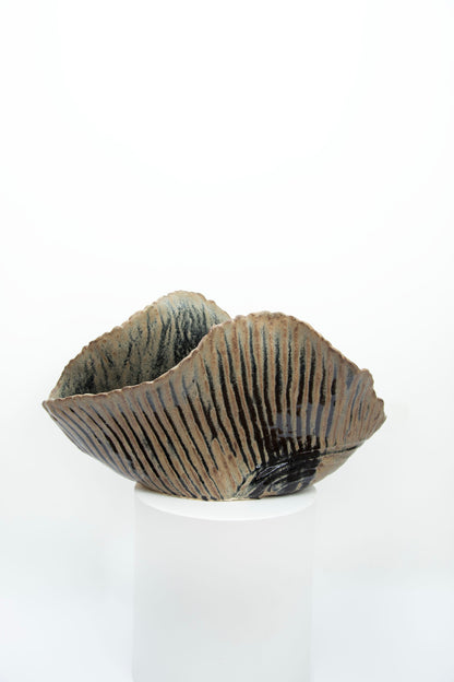 A cloud, a star, a meteor