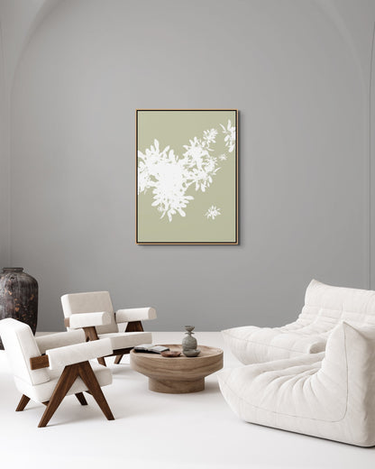 Foliage 11 - Open Edition Print