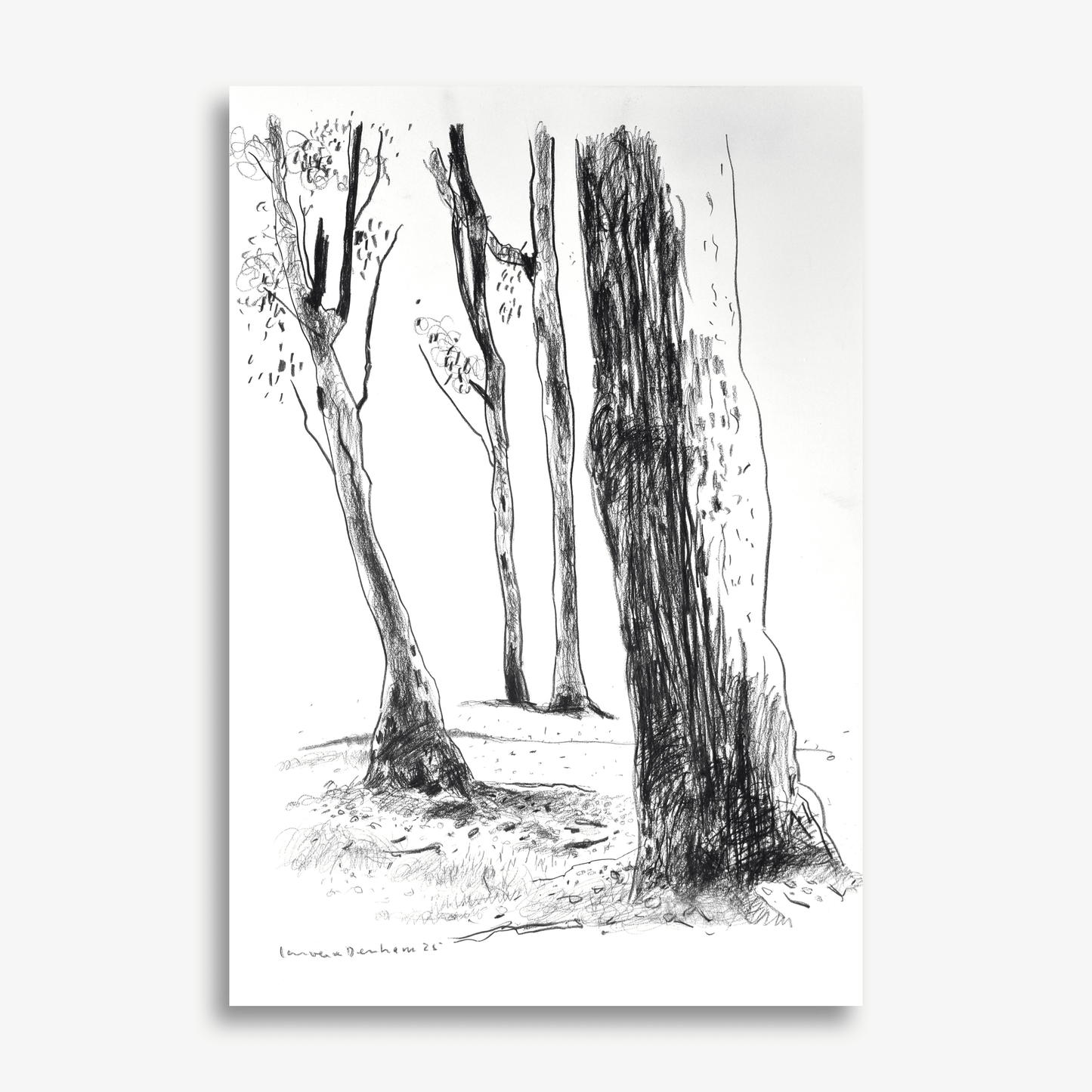 Four Trees on Fox Valley Road
