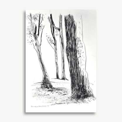 Four Trees on Fox Valley Road