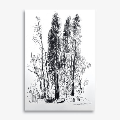 Three Native Pines
