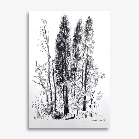 Three Native Pines