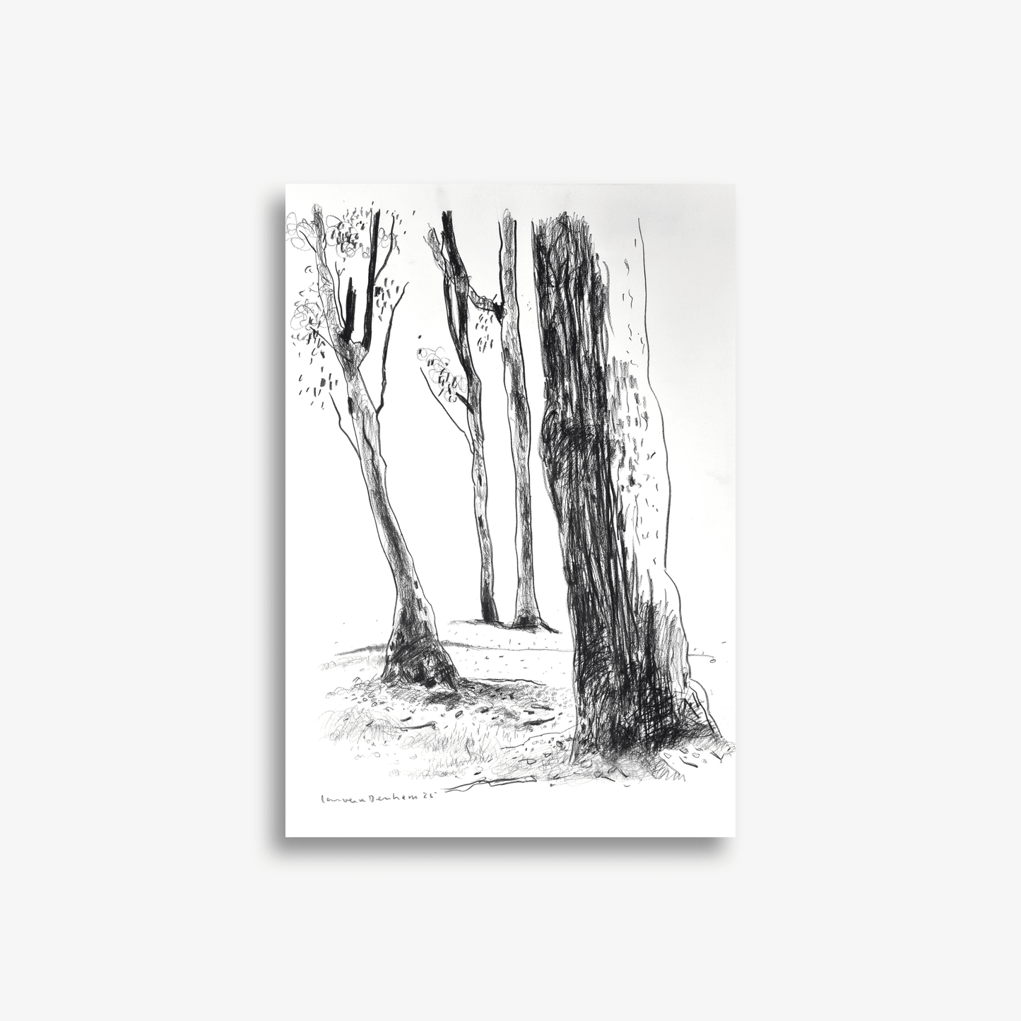 Four Trees on Fox Valley Road