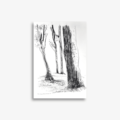 Four Trees on Fox Valley Road