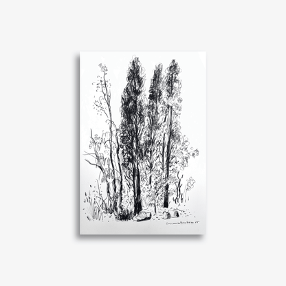 Three Native Pines