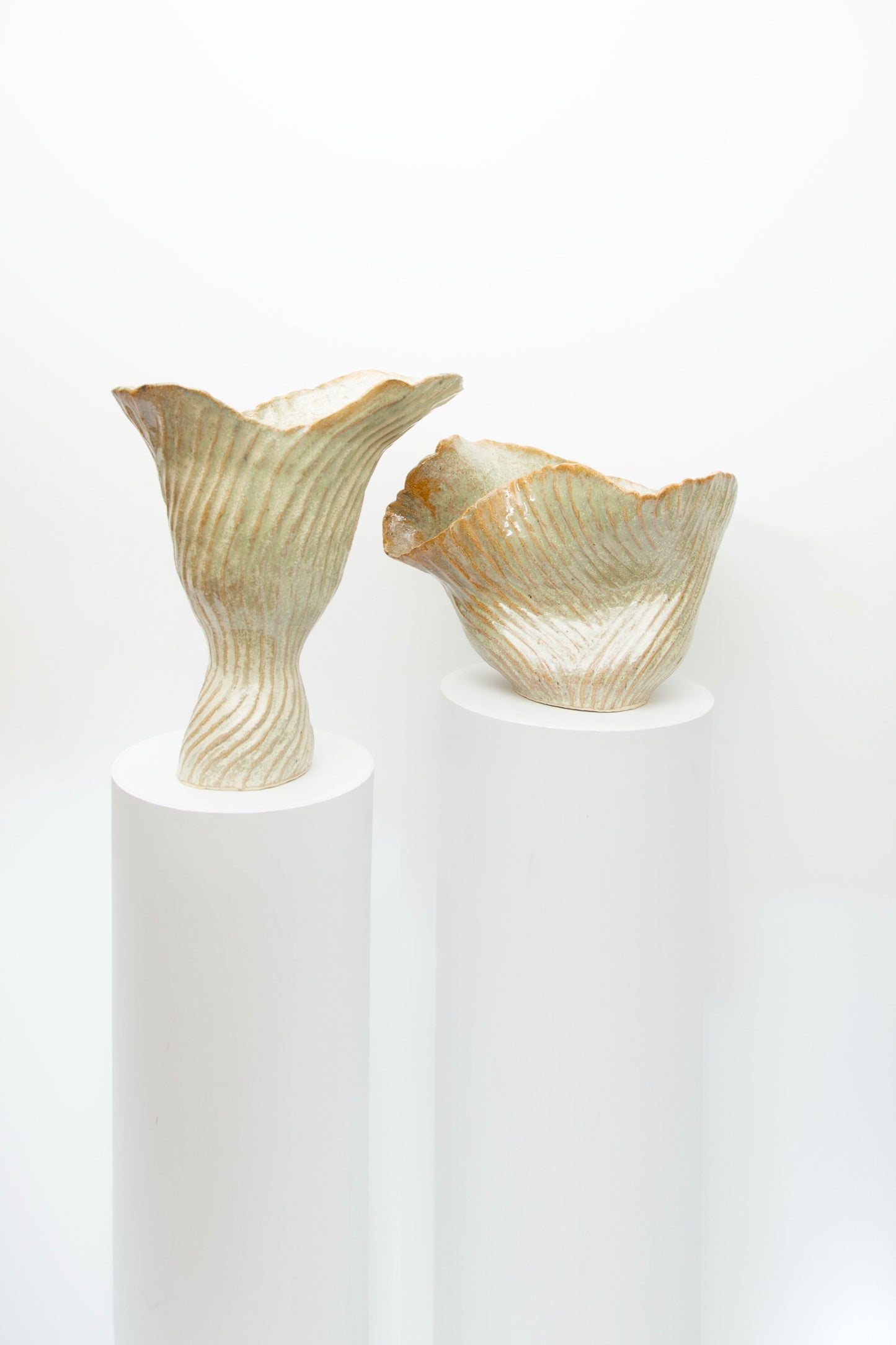 Beginning to flourish