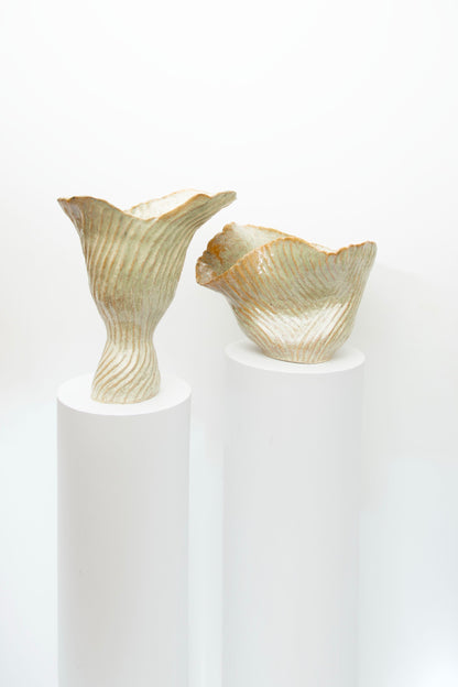 Beginning to flourish